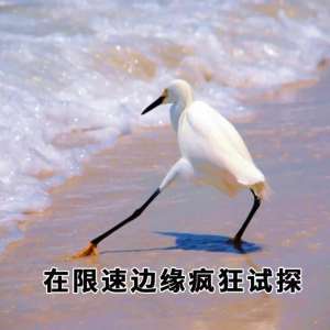 �������ţ��ƶ���ͨ�������⻻��Я��ת����������ʵʩ