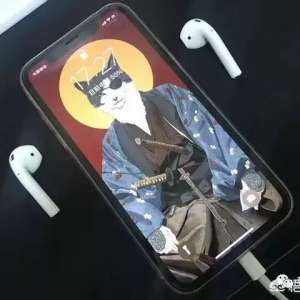 ƻ��6s�뻻���ֻ�������ھ����ǻ�ƻ��8p����xr����ʲô�õĽ�����