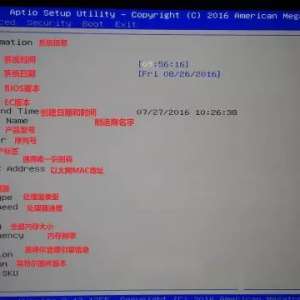 F117 BIOS���� Ӣ���з����ȫ