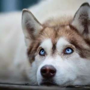 ��̬Ӳ���ٶ���ô�죬Ϊʲô��Ȼ���п��ٵ�ʱ��