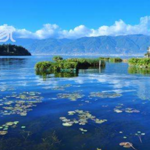 ��˫����������������Щ_��ī������