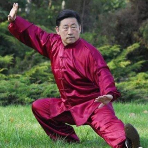 ����ѧϰ̫��ȭ��ѵ��ô��_����̫��ȭ