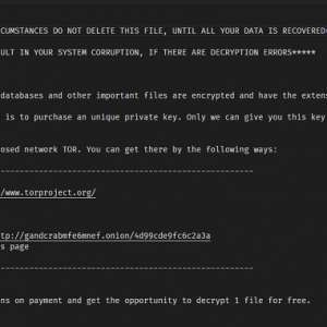 �Ұֵĵ���������������