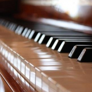 ����SUHNERBELL���ټ�λ_���ڵ����