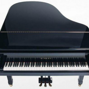 ����FRANZ SANDNER���ٹ�˾_���ڵ����