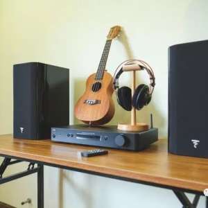 HiFi�������ѡ����ʵ������빦�ţ�������������������