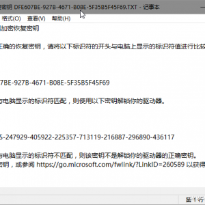 Windows 10 BitLocker������Կ��4�ֳ��õļ��ɷ���