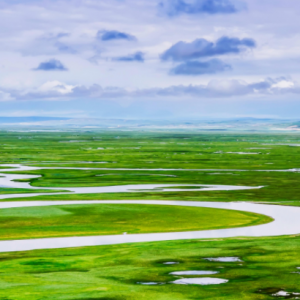 ������³���������ʾ�����Щ�ط�ֵ��ȥ_�ɺ�����