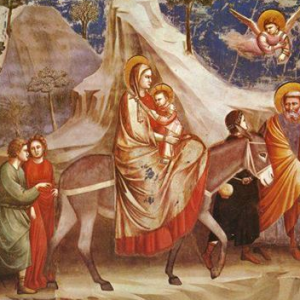 ����ŷ���մɹ��ջ��۸�_���չ����մ�