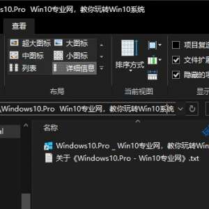 ��������Win10���ڵ����Ľ����д��ļ��д���