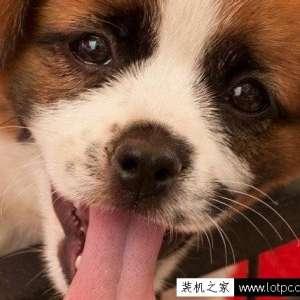 ������ʹ��photoshop�еķ����˾��������ʱ�ֶ���ɻ���ģ�������÷���