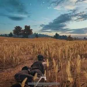 �Լ�֡���ߵ�ȡ����cpu�����Կ�