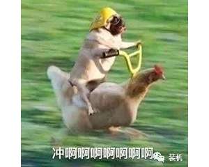 ��ô���õ�С�״��붼��֪�����ѹ��治��С���ֻ�