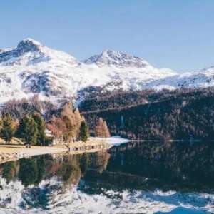 �ҵ�ʵ�������̻򽫽�����