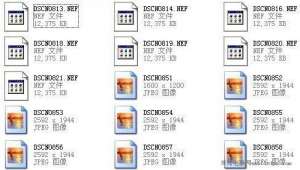 �����ϵ�NEF�ļ���ʲô�ļ���NEF��ʽ�ļ���ô�򿪣�