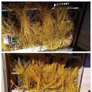 ���繤�����ı���������Ҫ