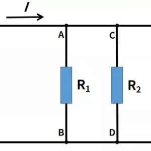 ʲô�ǵ���Ĳ�����רҵ����ѧ��Ϊ��ȫ���������ģ�