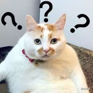 Ϊʲô����PLC����ʦ���Ҳ���������