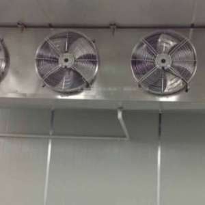 ֱ�������������ȷ���˪