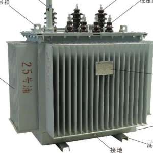 ˫�����ѹ���й����޹����������μ���