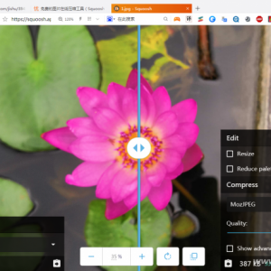 ����������Ż�ͼƬ,�ṩ�����߷������ת��