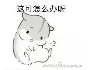 С����Ӳ��λ�������޸�����