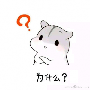 Ӳ��GPU��������һЩ���߷��䡢Ч���ļ��㷨��ר�õļ��㵥Ԫ