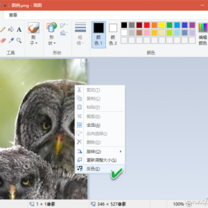 Windows 10����ͼ����һ����Ϊ���������ӵ�ͼ��������