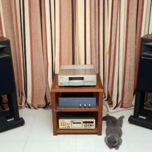 �ȷ�PD-2000 �콢���ĵ���ת��CD��DIY