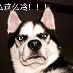 �ֻ�������ô�죿�ֻ������������˽��㼸�����������