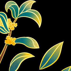 ����󿪿յ�̫�䣬�����յ����ȣ������յ���ô�ã�