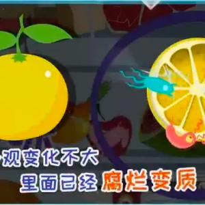 ��ë�����������ķ���