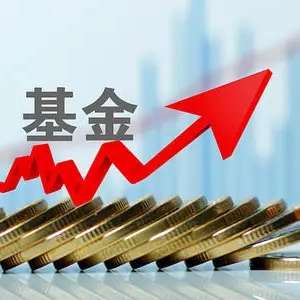 Ͷ����ʲô��������Ϻͻ���Ͷ����ʲô����