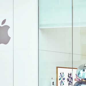 ƻ������˽�����Ⲩ���������飺������Ϊ���ƹ��Լҹ�����