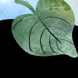 ���ȵ�����յ���ôʹ������Ч����ã�