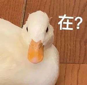 ���Ե��������ô�ص��������У����׹رգ�