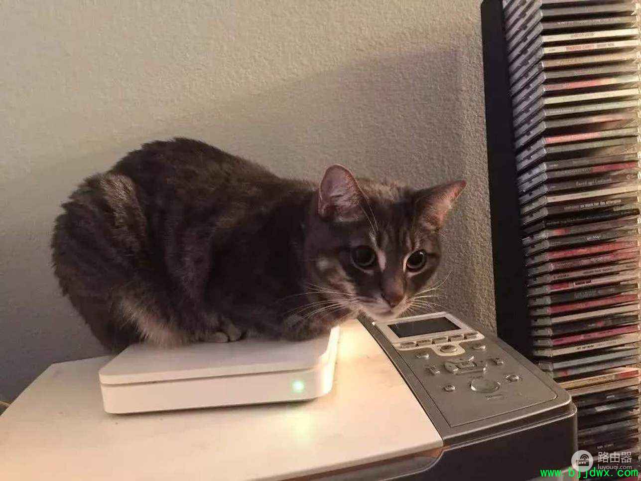 ·����Զ�����������������ٲ��ٱ�����׷��Ҳ���Ῠ�٣�