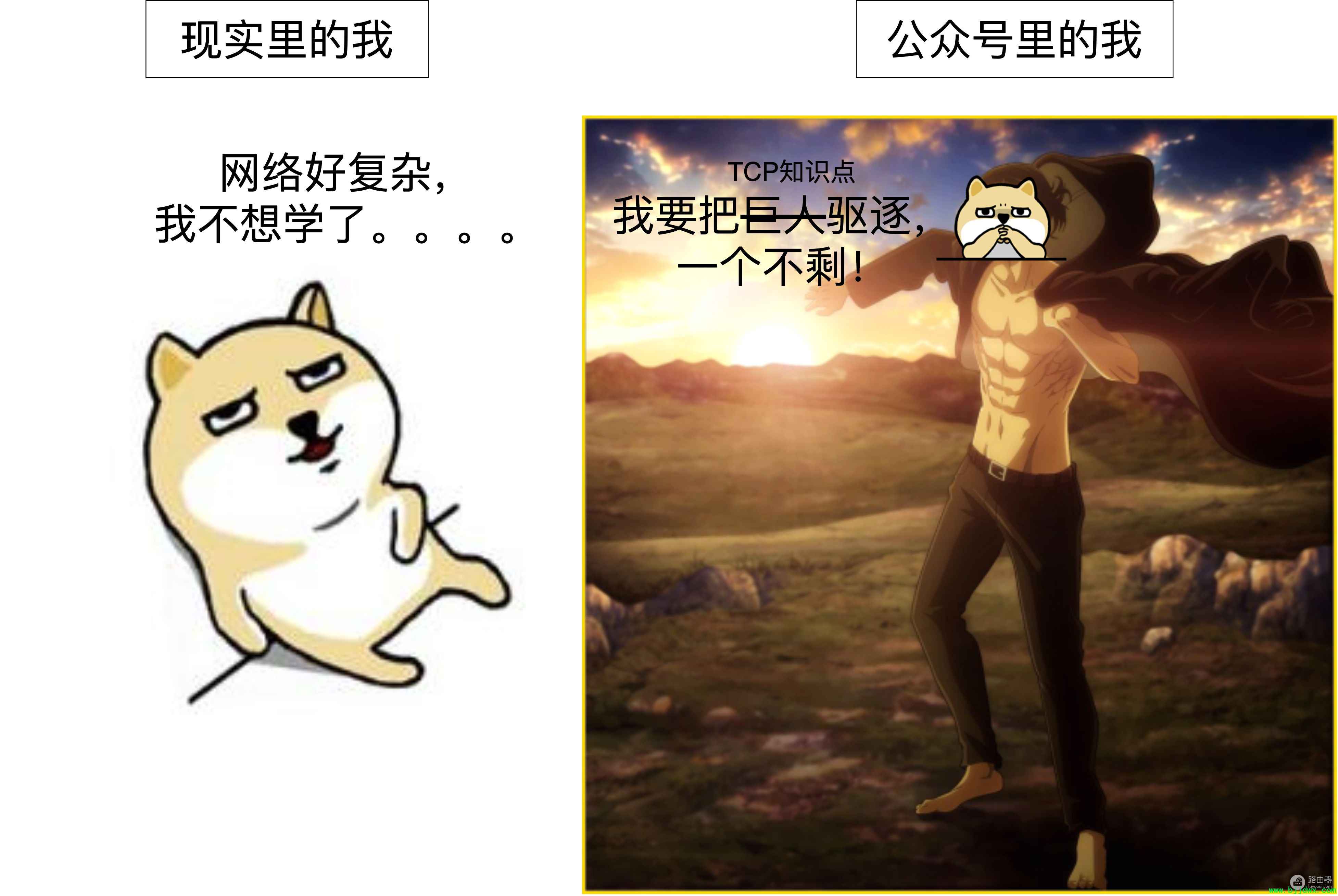 30��ͼ����㶮·�������������������������ţ���è��ɶ����