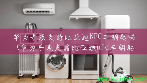 ��Ϊ�ֱ�֧�ֱ��ǵ�NFC��Կ����(��Ϊ�ֱ�֧�ֱ��ǵ�nfc��Կ����֪��)