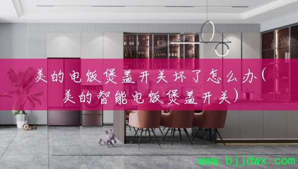 ���ĵ緹�Ҹǿ��ػ�����ô��(�������ܵ緹�Ҹǿ���)