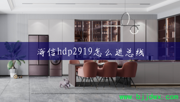 ����hdp2919��ô������