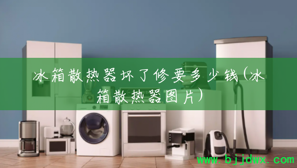 ����ɢ����������Ҫ����Ǯ(����ɢ����ͼƬ)