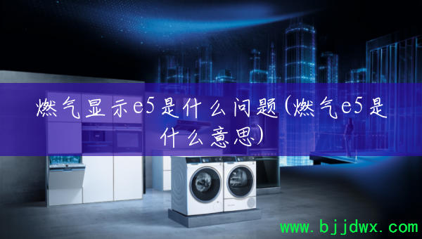 ȼ����ʾe5��ʲô����(ȼ��e5��ʲô��˼)