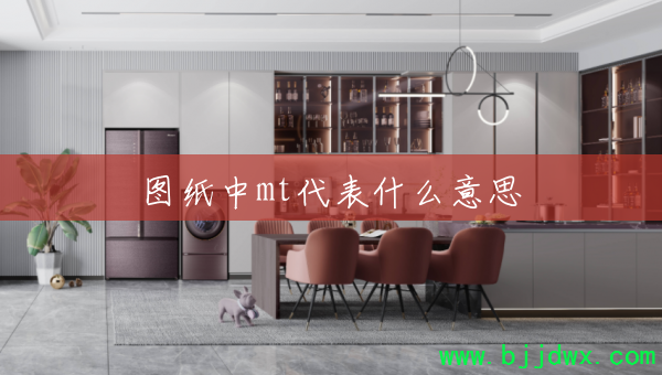 ͼֽ��mt����ʲô��˼