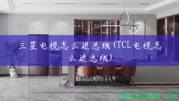 ���ǵ�����ô������(TCL������ô������)