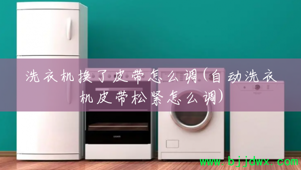 ϴ�»�����Ƥ����ô��(�Զ�ϴ�»�Ƥ���ɽ���ô��)