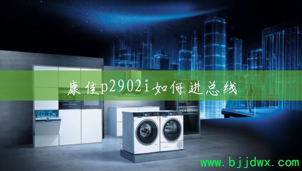 ����p2902i��ν�����