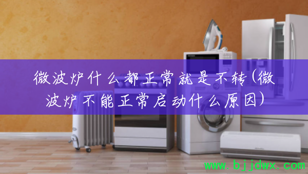 ΢��¯ʲô���������ǲ�ת(΢��¯������������ʲôԭ��)