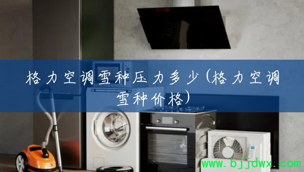 �����յ�ѩ��ѹ������(�����յ�ѩ�ּ۸�)