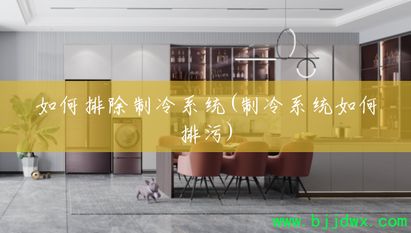 ����ų�����ϵͳ(����ϵͳ�������)